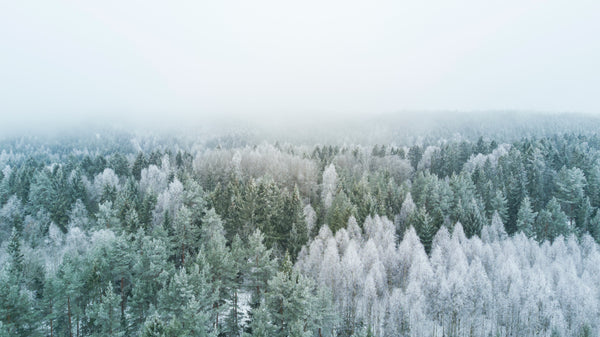 Tips On Staying Motivated To Exercise When It’s Cold Outside